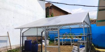 Orchid Greenhouse SMP Negeri 1 Karangploso