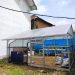 Orchid Greenhouse SMP Negeri 1 Karangploso