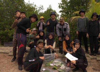 Mangrove