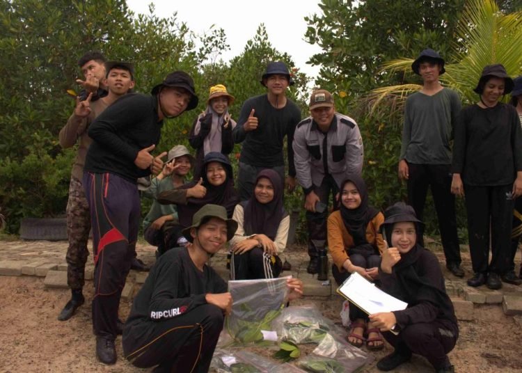 Mangrove