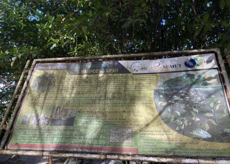 Potensi dan Tantangan Wisata Mangrove Kampung Nipah