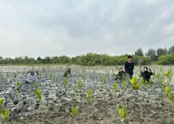 Degradasi dan Deforestrasi