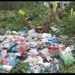 Dampak Buang Sampah Sembarangan Terhadap Lingkungan Dan Kesehatan Masyarakat Di Kota Medan