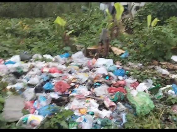 Dampak Buang Sampah Sembarangan Terhadap Lingkungan Dan Kesehatan Masyarakat Di Kota Medan