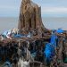 Sampah di Pantai