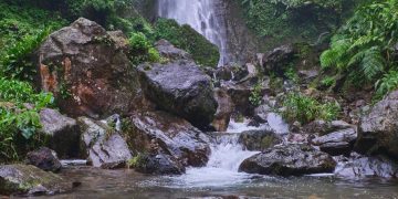 Halo Kaula Muda Bandung! Enchanting Valley, Wisata Baru yang Sae Pisan di Bogor