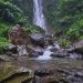 Halo Kaula Muda Bandung! Enchanting Valley, Wisata Baru yang Sae Pisan di Bogor