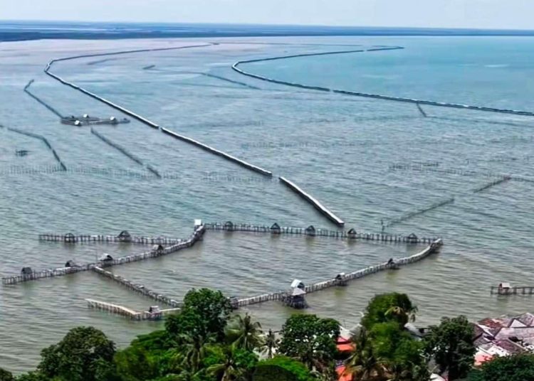 Dukung Presiden Prabowo Terkait Pencabutan Pagar Bambu Ilegal di Laut Tangerang : Ini Kata Pengamat Intelijen