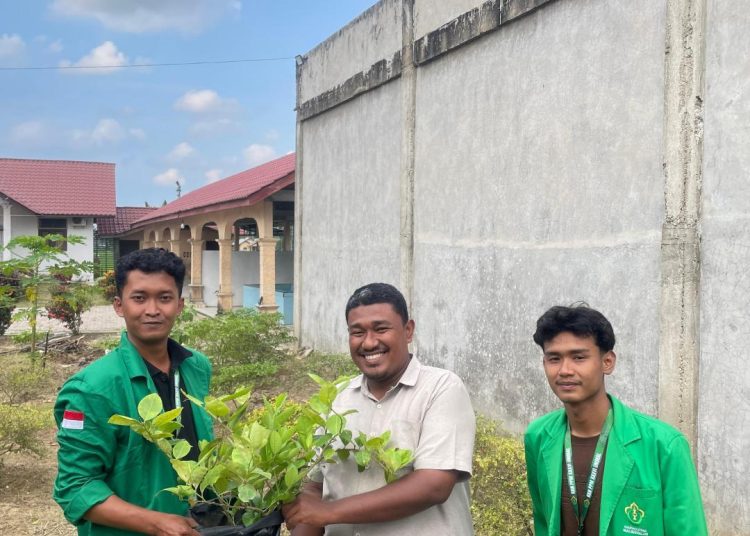 Mahasiswa KKN-PPM Universitas Malikussaleh Kelompok 250 Desa Alue Bili Rayeuk Menanam Tanaman Di Meunasah Untuk Perkuat Pangan Masyarakat