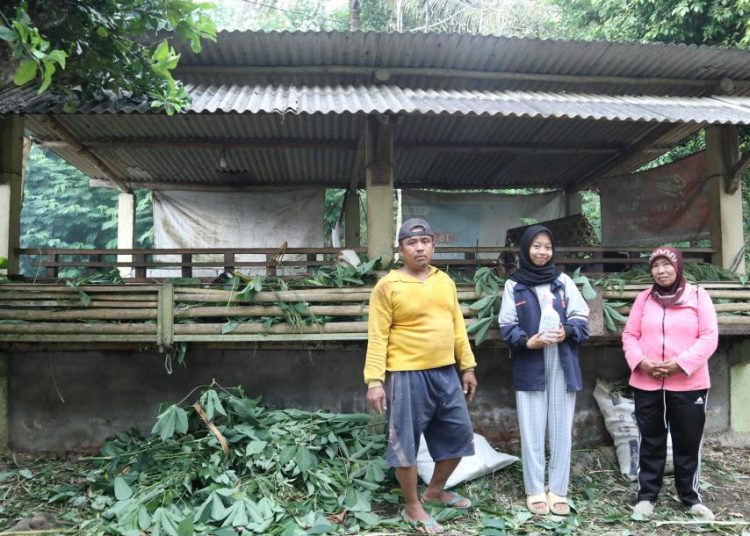 Mahasiswa Undip Edukasi Peternak Gondowulan tentang Pentingnya Desinfektan untuk Cegah PMK
