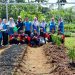 Mahasiswa KKN Korcam Gunungpati UPGRIS dan PKK Kecamatan Gunungpati Bersama BPP Wujudkan Ketahanan Pangan Lewat Urban Farming