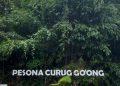 Pesona curug go'ong