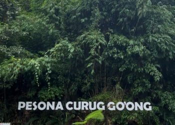 Pesona curug go'ong