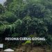 Pesona curug go'ong